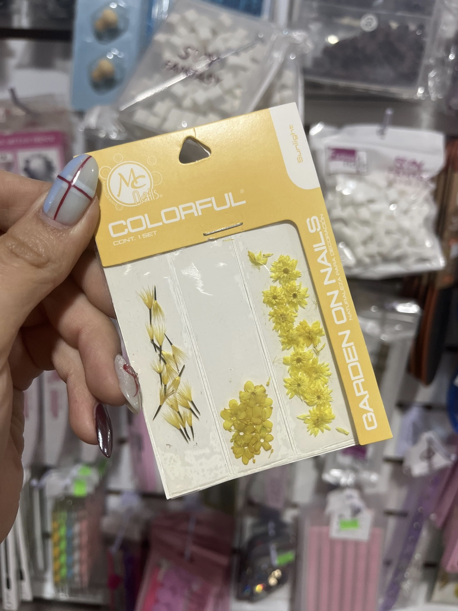 Naturaleza muerta sunlight