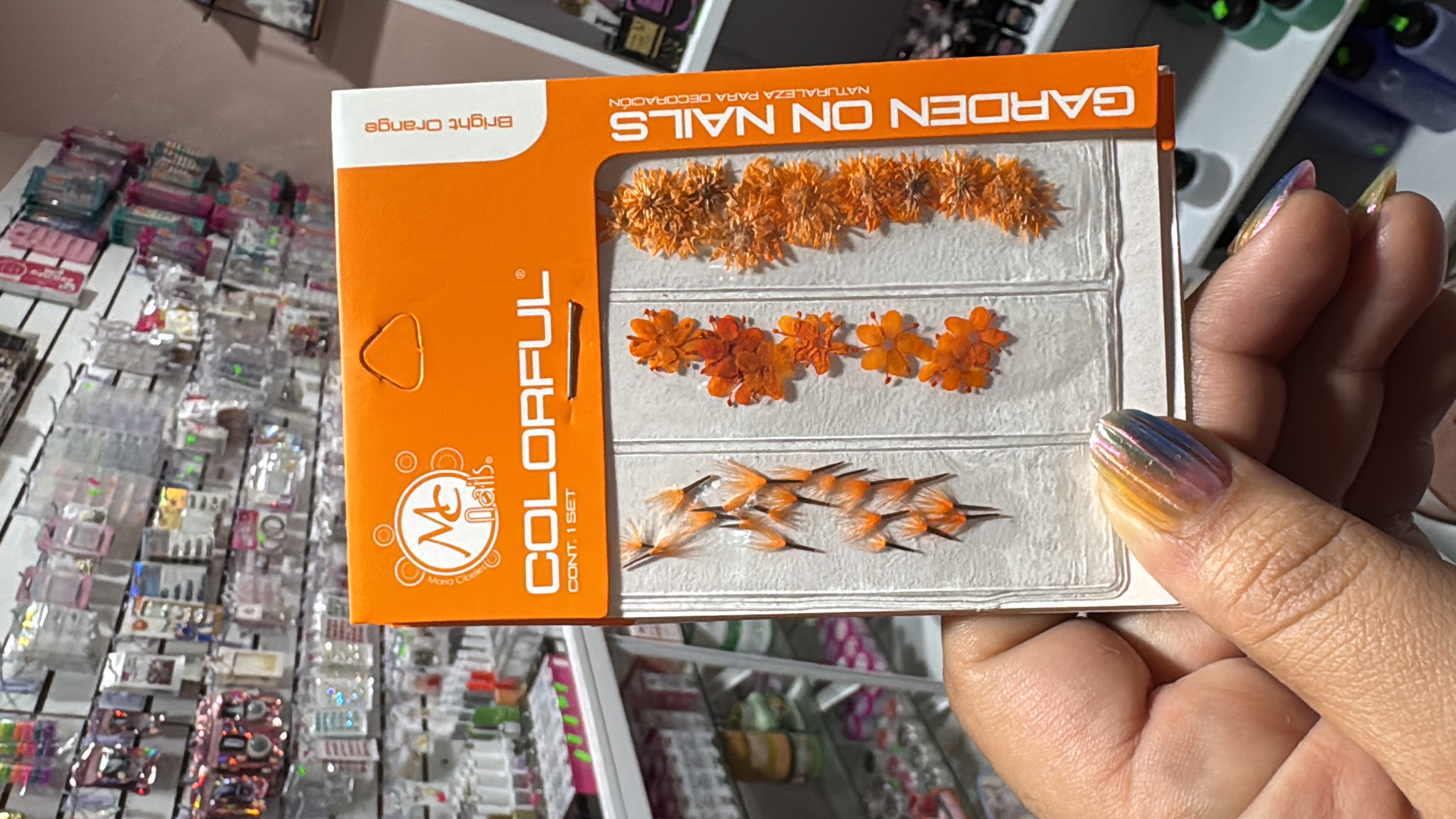 Naturaleza muerta Bright Orange