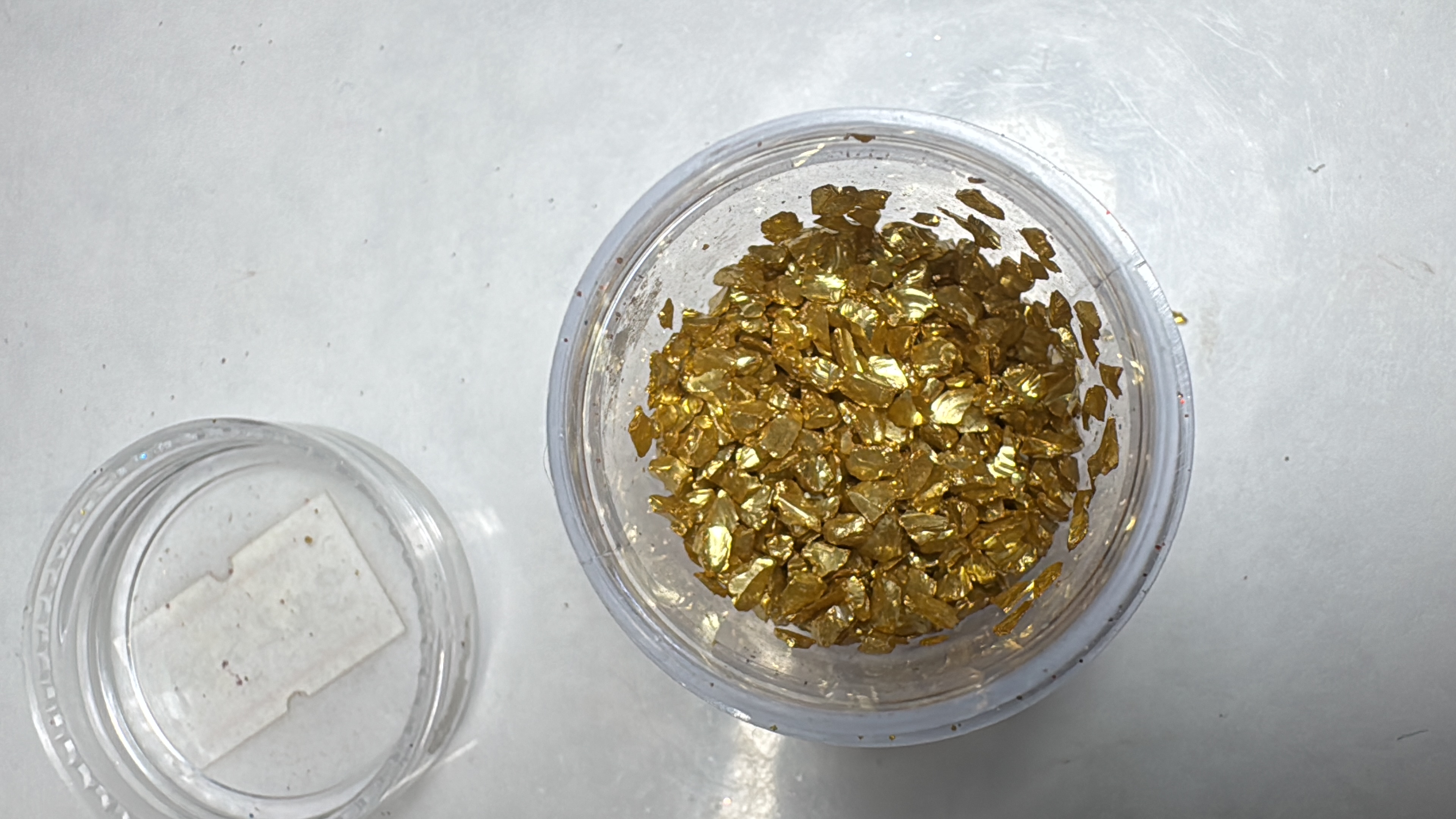 Concha Nácar Dorado (382334)