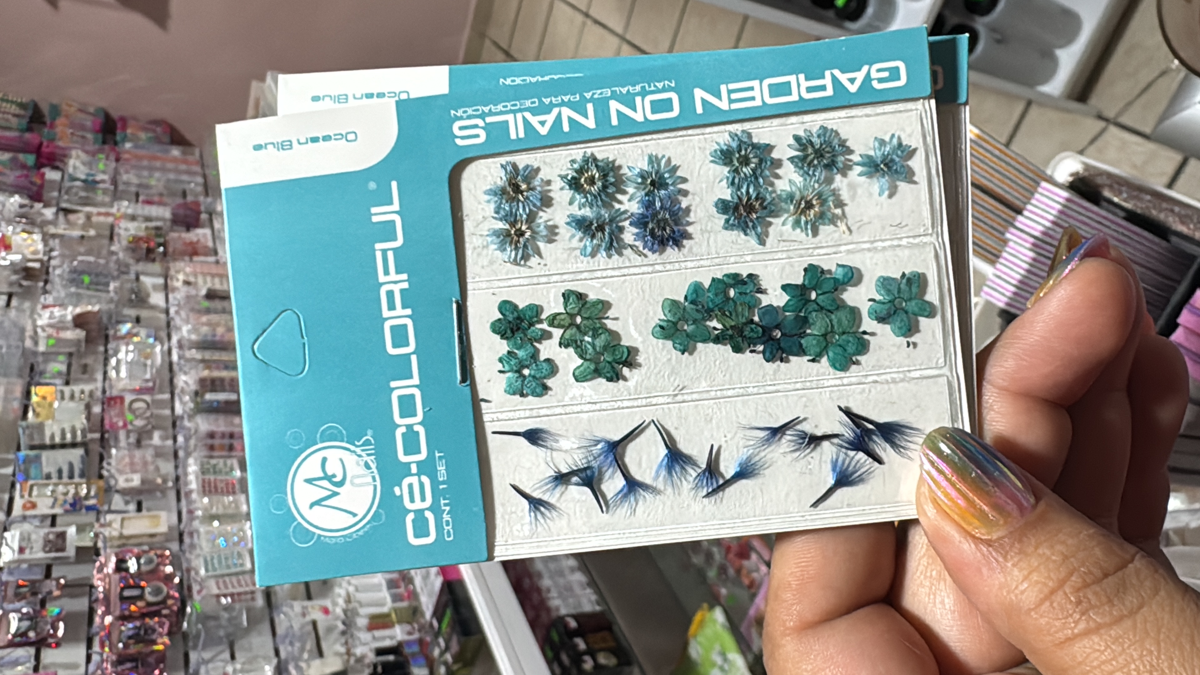 Naturaleza muerta Ocean Blue