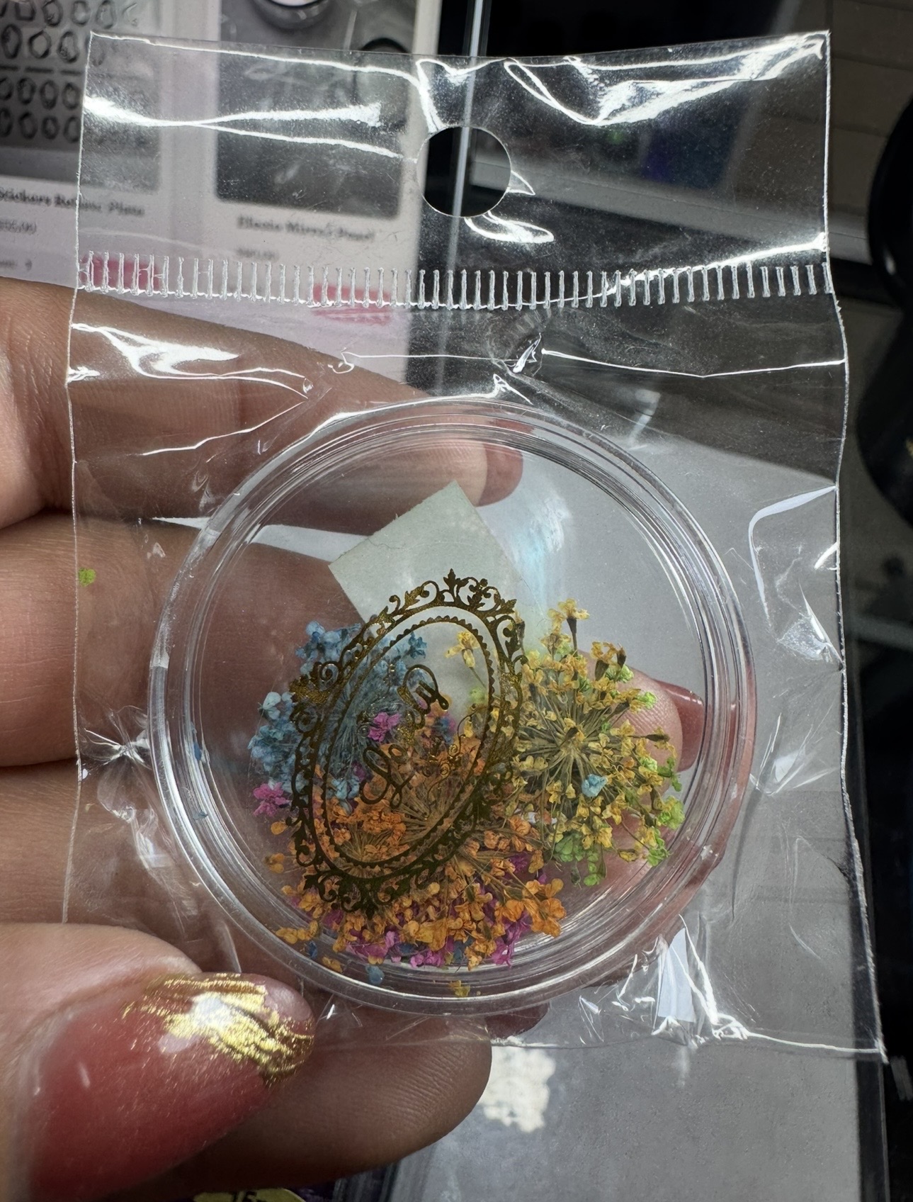 Naturaleza muerta (64)